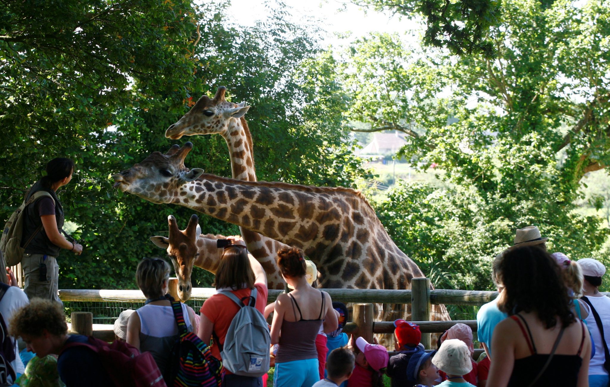 Tarifs billetterie et carte pass Zoo  Champrepus 